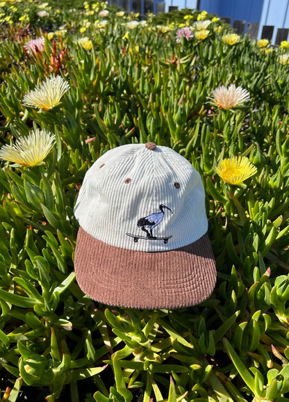 Bin Chicken Mini Hat